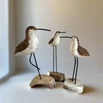 3 Shorebirds