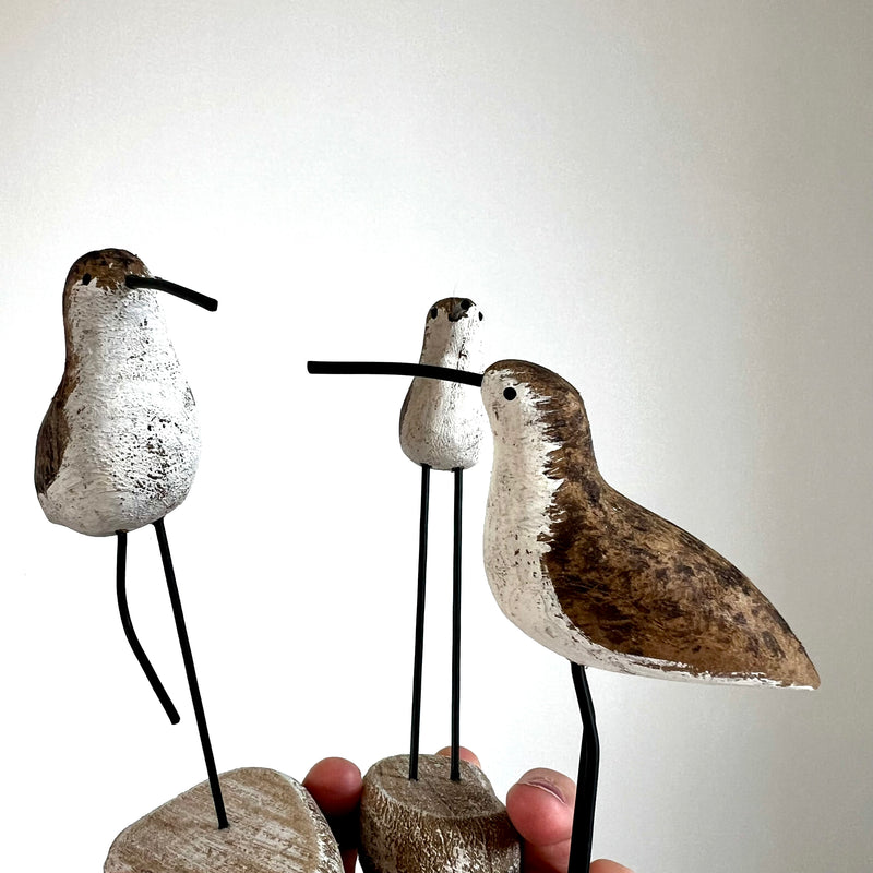 3 Shorebirds