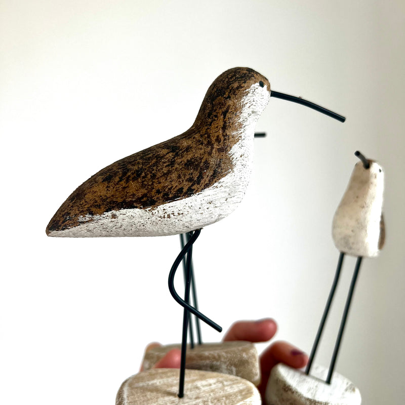 3 Shorebirds