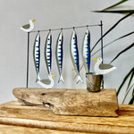 Mackerel for Sale!
