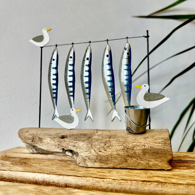 Mackerel for Sale!