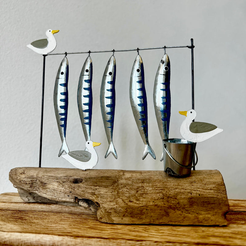 Mackerel for Sale!