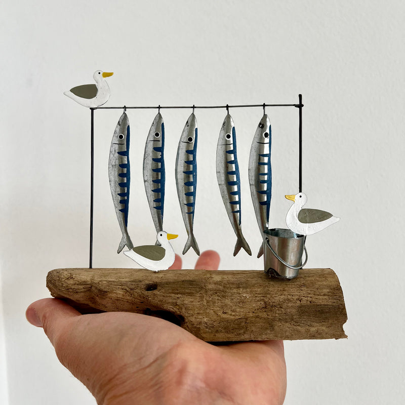 Mackerel for Sale!