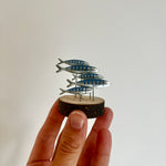 Mini Shoal of Mackerel