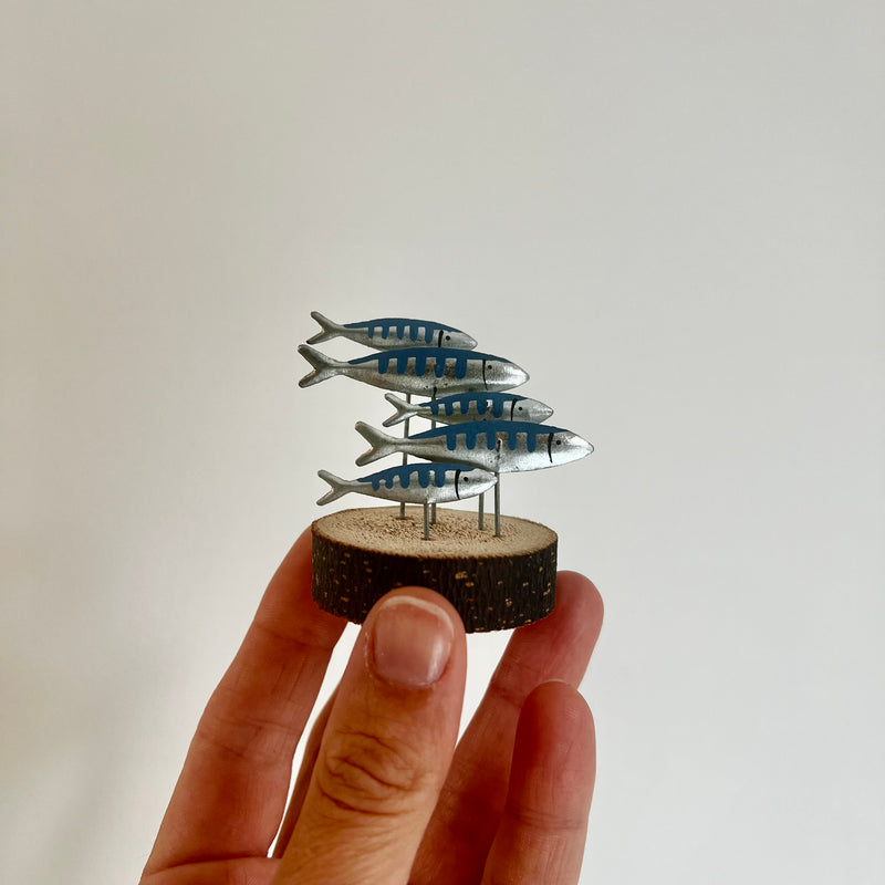 Mini Shoal of Mackerel