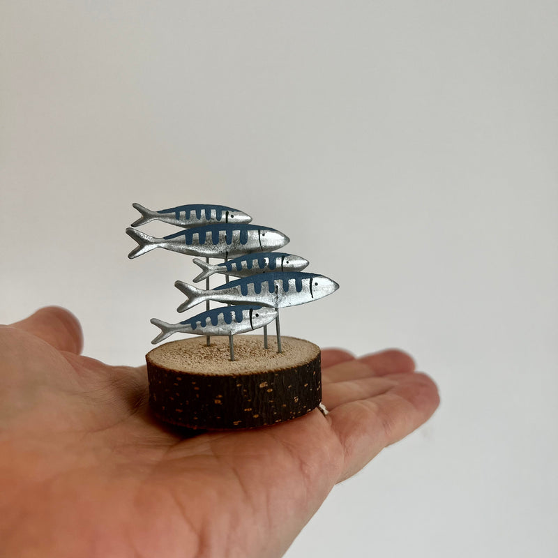 Mini Shoal of Mackerel