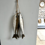 Three Driftwood Fish
