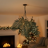 Hanging Shimmering Fern