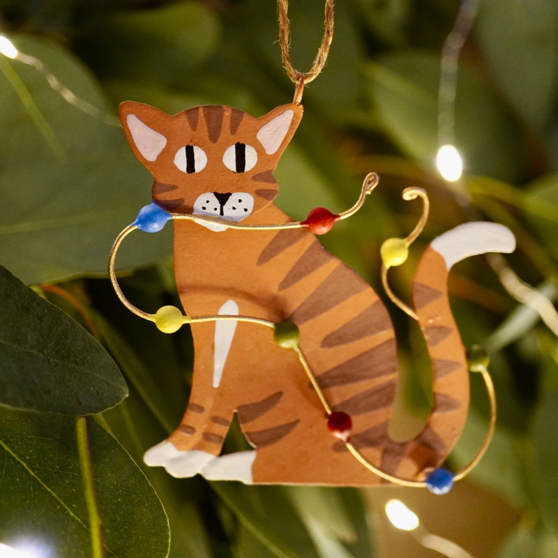 Ginger Cat with Christmas Lights