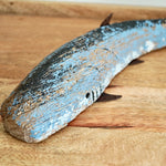 Blue Driftwood Whale Sharks