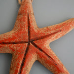 Hanging Driftwood Starfish
