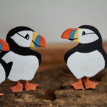 Circus of Puffins