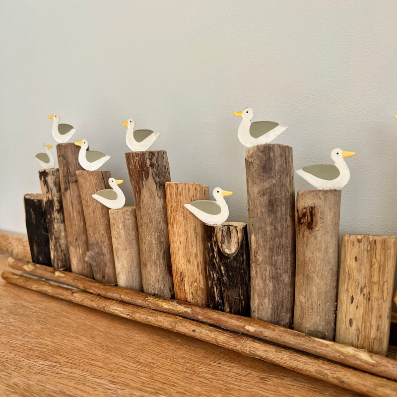 Long Seagulls on Groyne