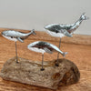 Leaping Silver Whales