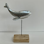 Solo Silver Whale